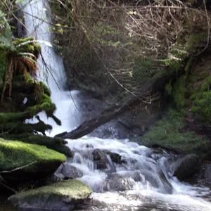 Meet your Posher, Sherry